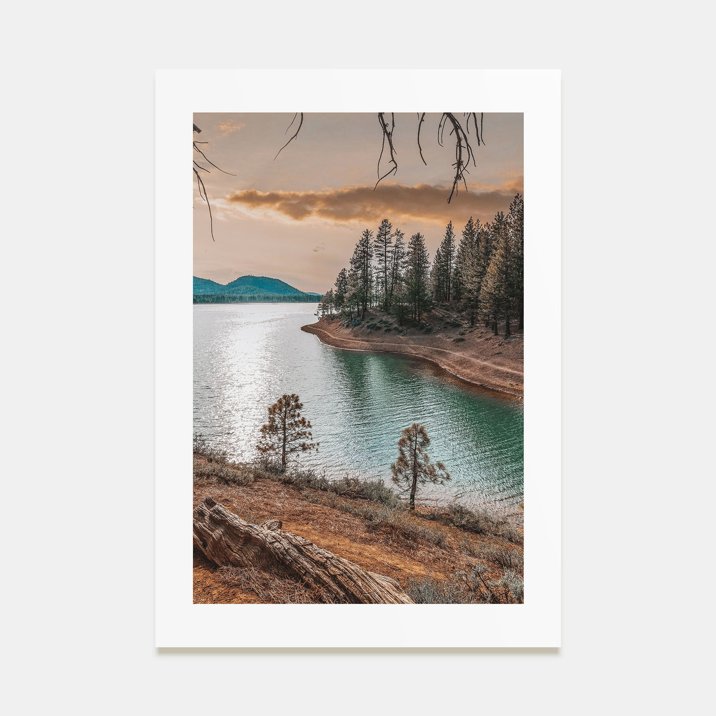 Davis Photo Color Poster