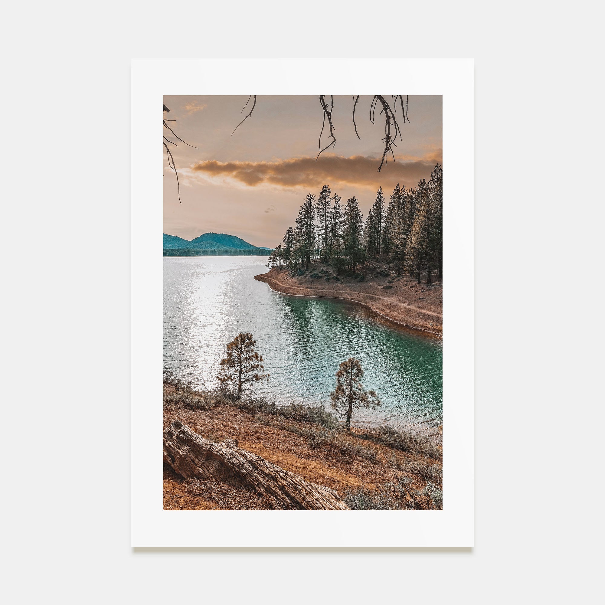 Davis Photo Color Poster