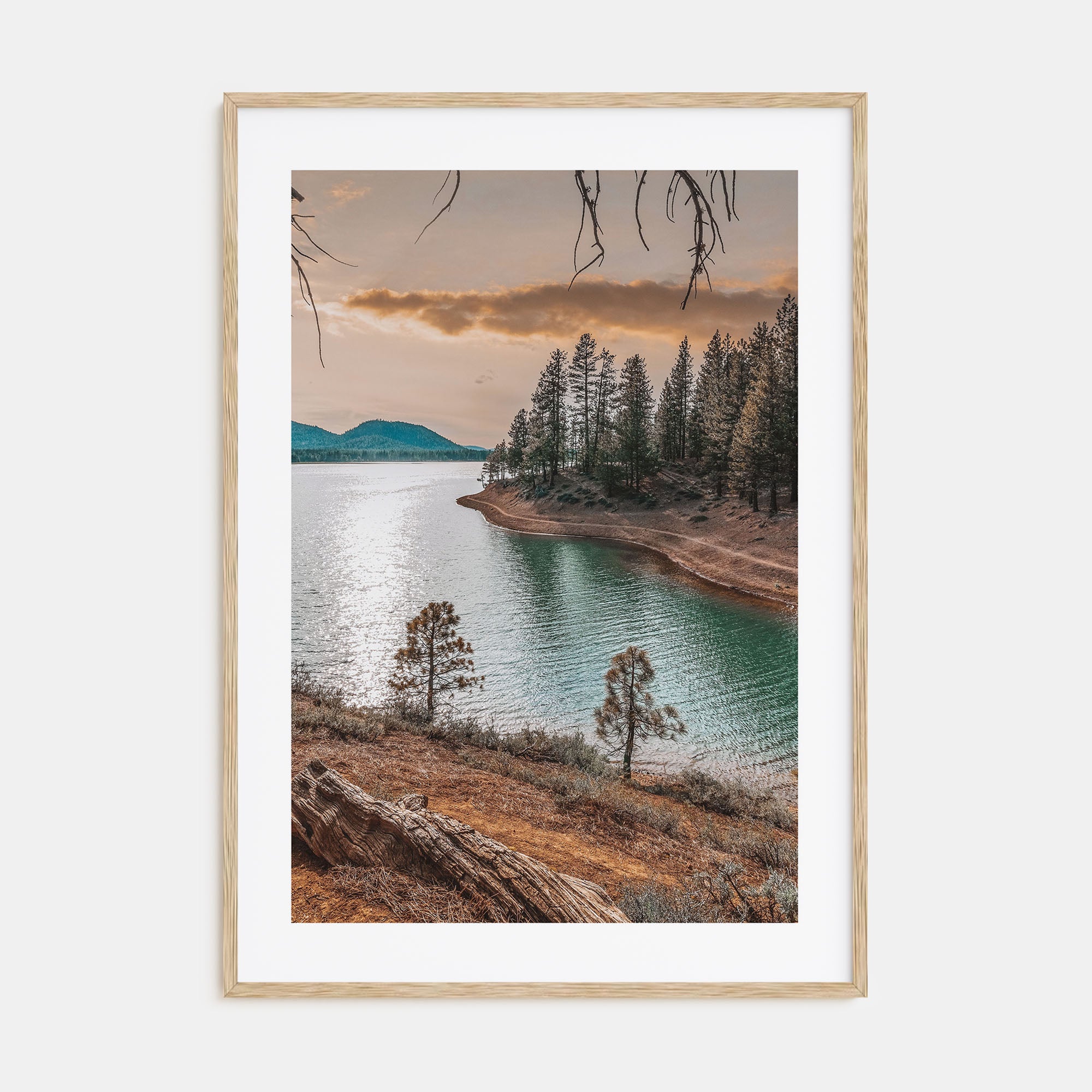 Davis Photo Color Poster