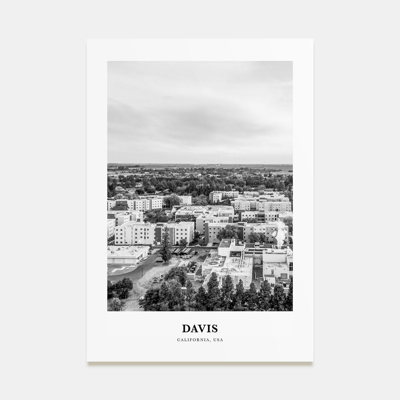Davis Portrait B&W Poster