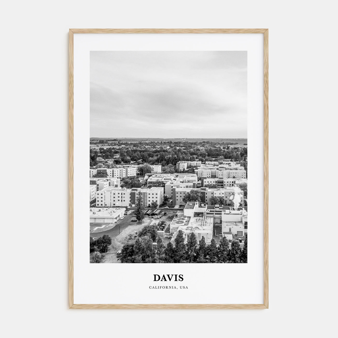 Davis Portrait B&W Poster