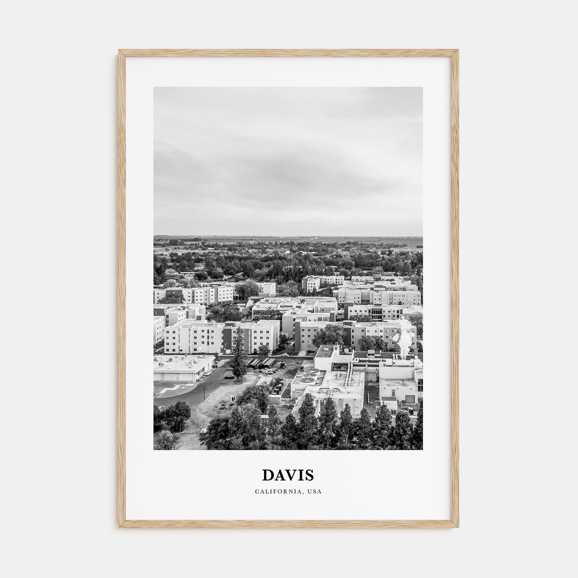 Davis Portrait B&W Poster