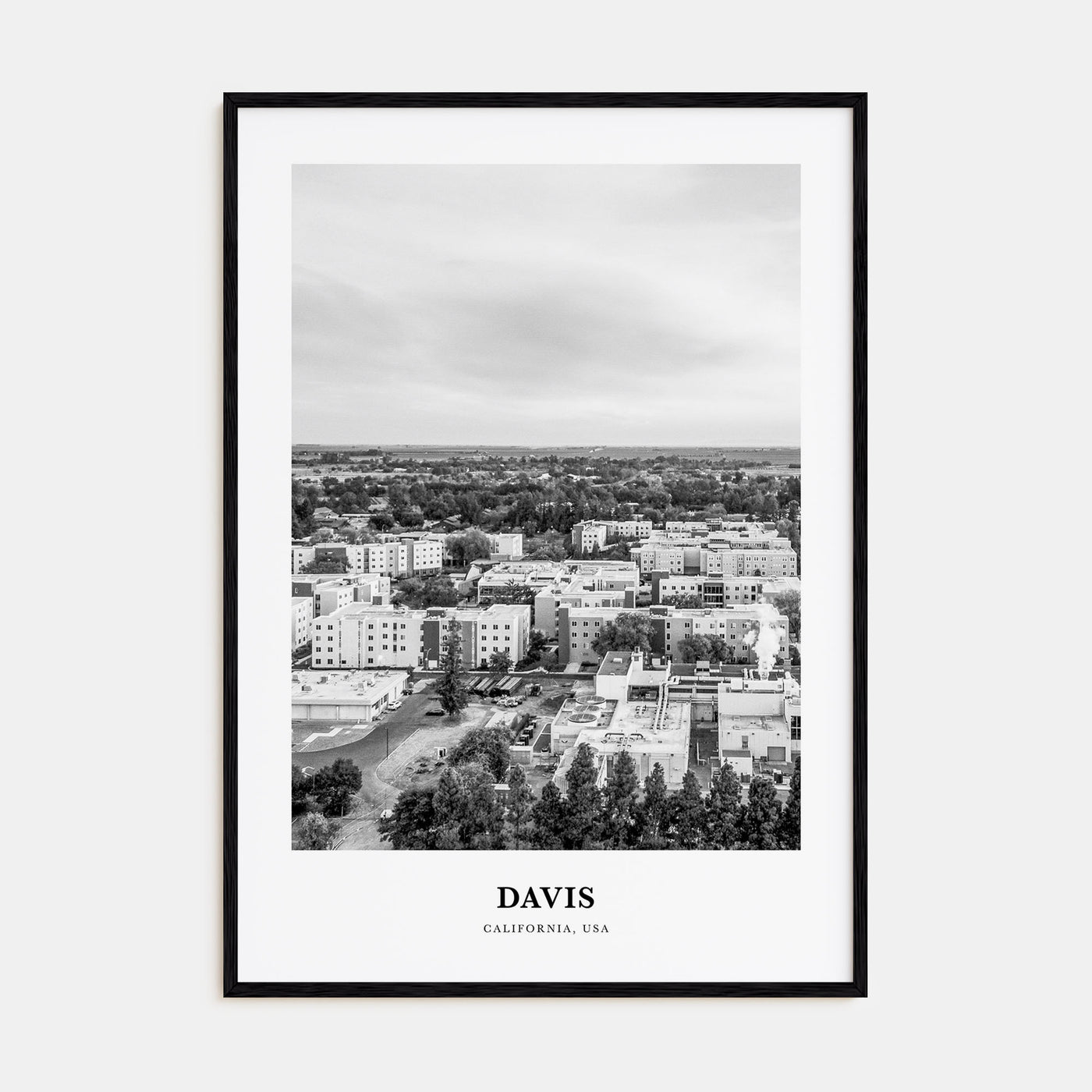 Davis Portrait B&W Poster