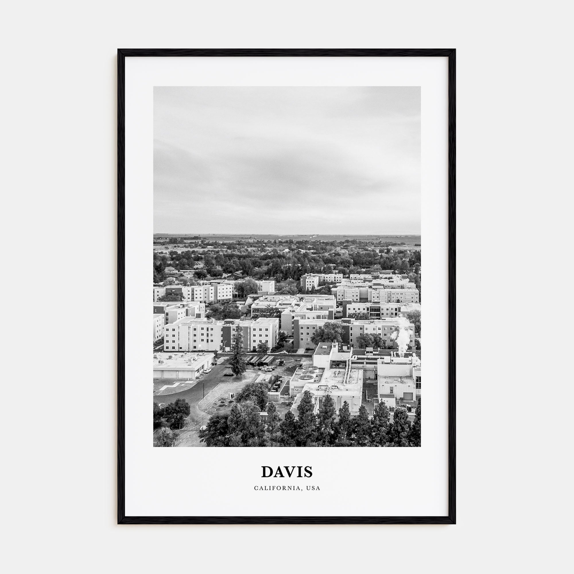 Davis Portrait B&W Poster