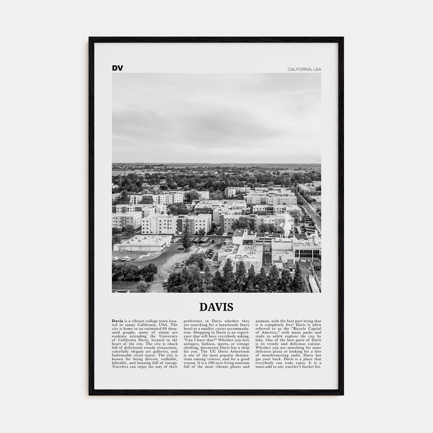 Davis Travel B&W Poster