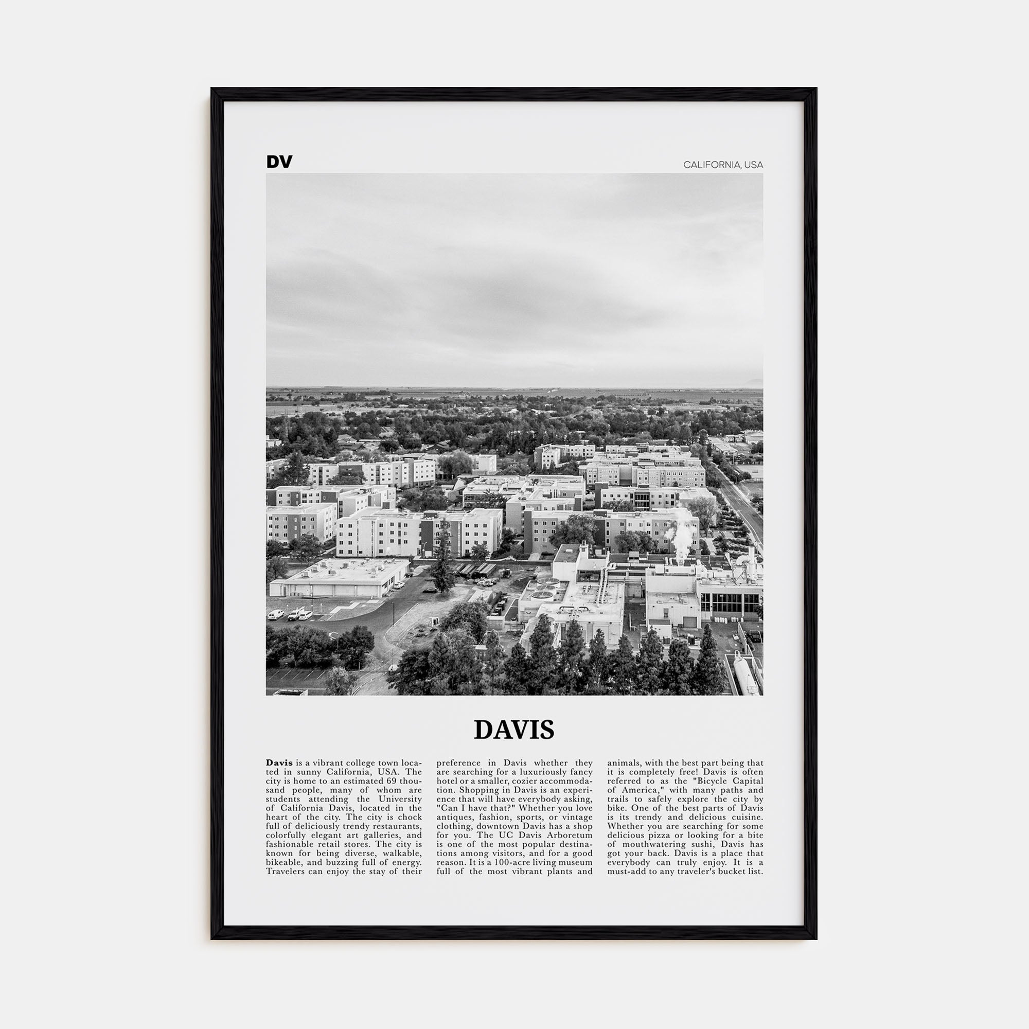 Davis Travel B&W Poster