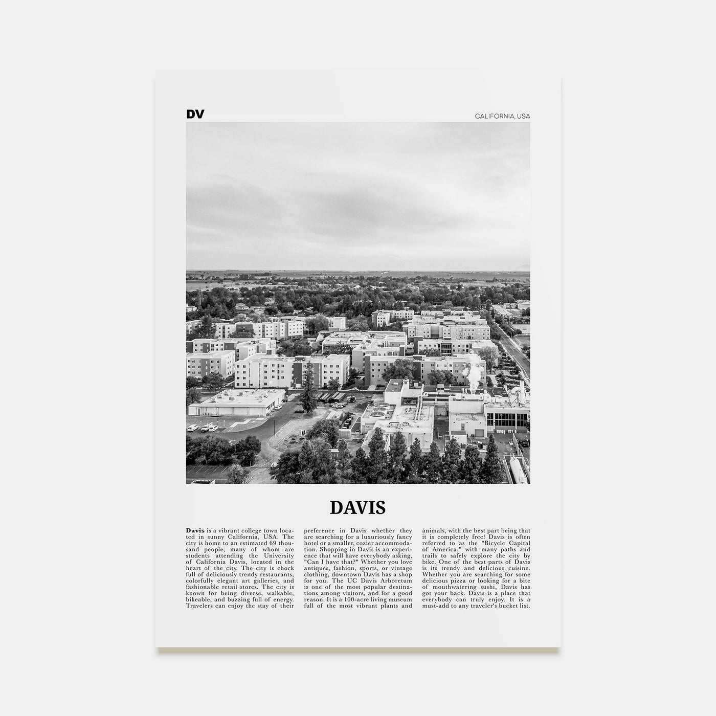 Davis Travel B&W Poster