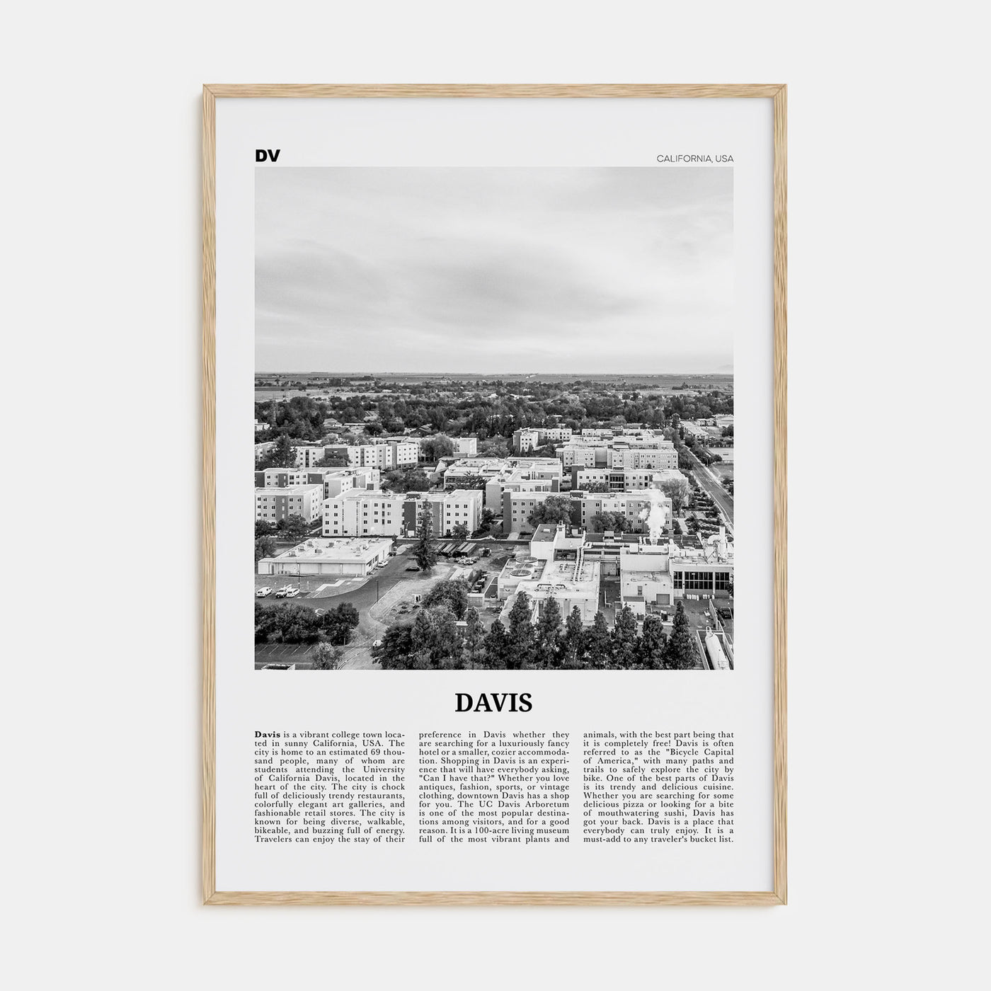 Davis Travel B&W Poster