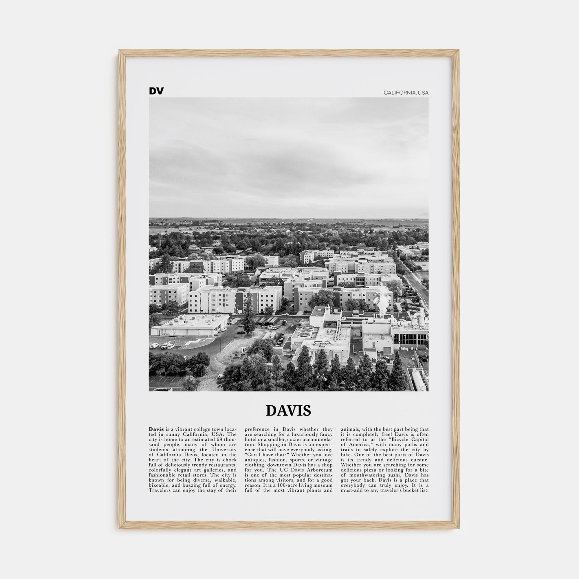 Davis Travel B&W Poster