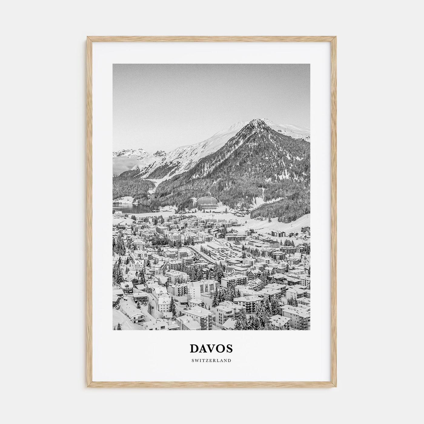 Davos Portrait B&W Poster