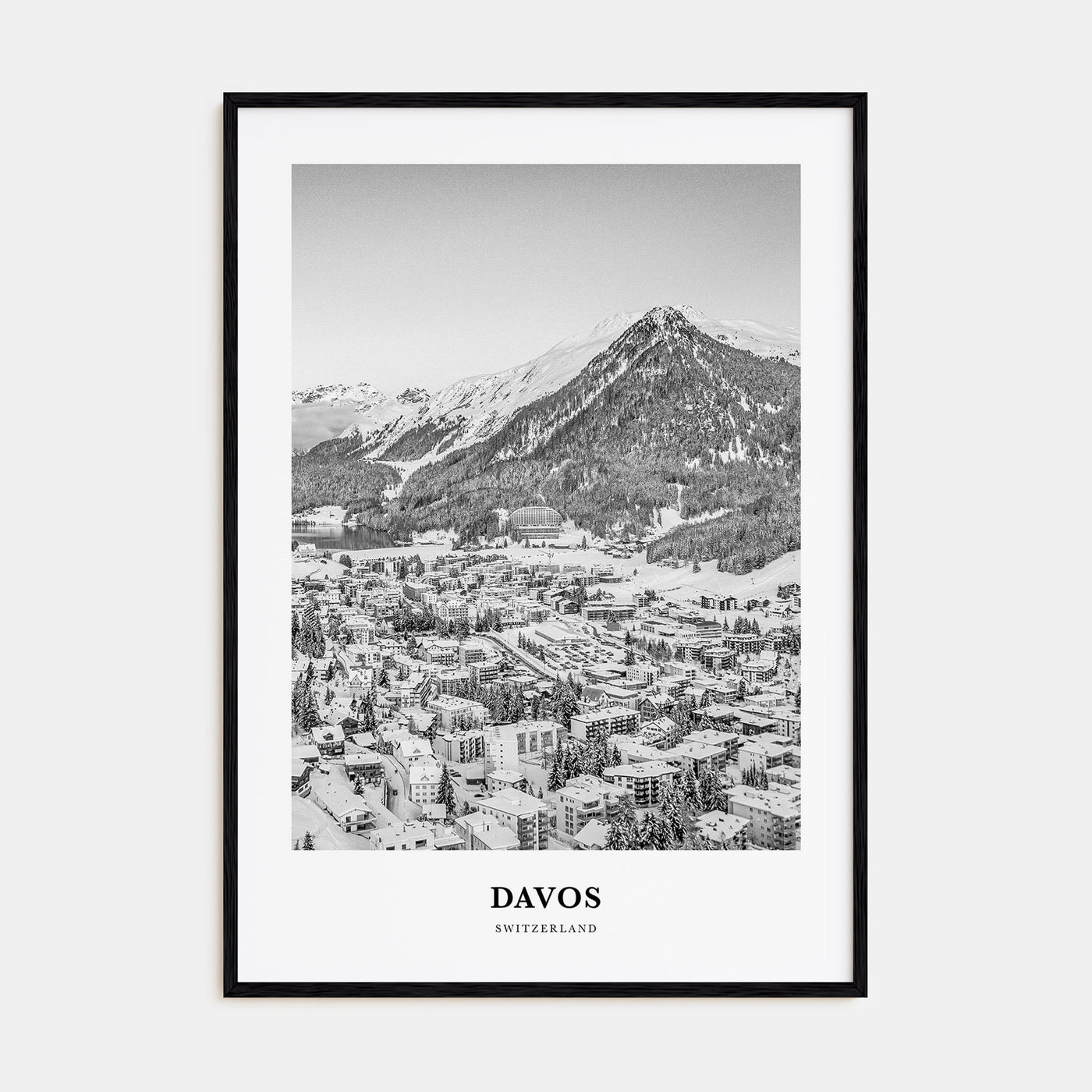 Davos Portrait B&W Poster