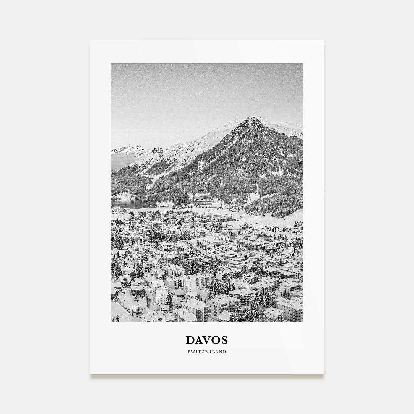 Davos Portrait B&W Poster
