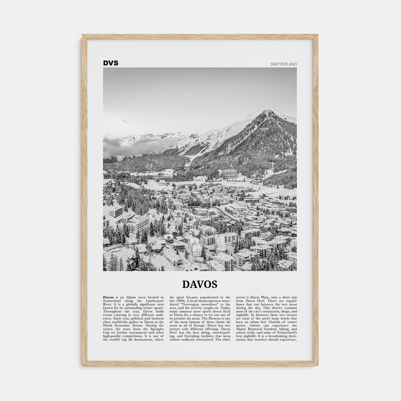 Davos Travel B&W Poster