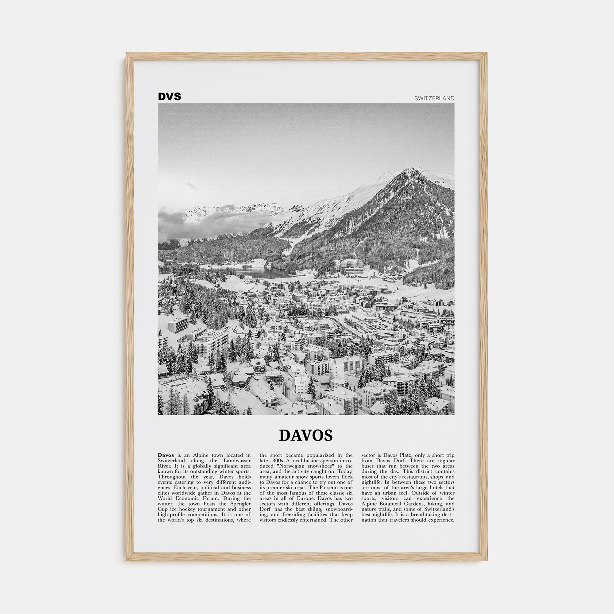 Davos Travel B&W Poster
