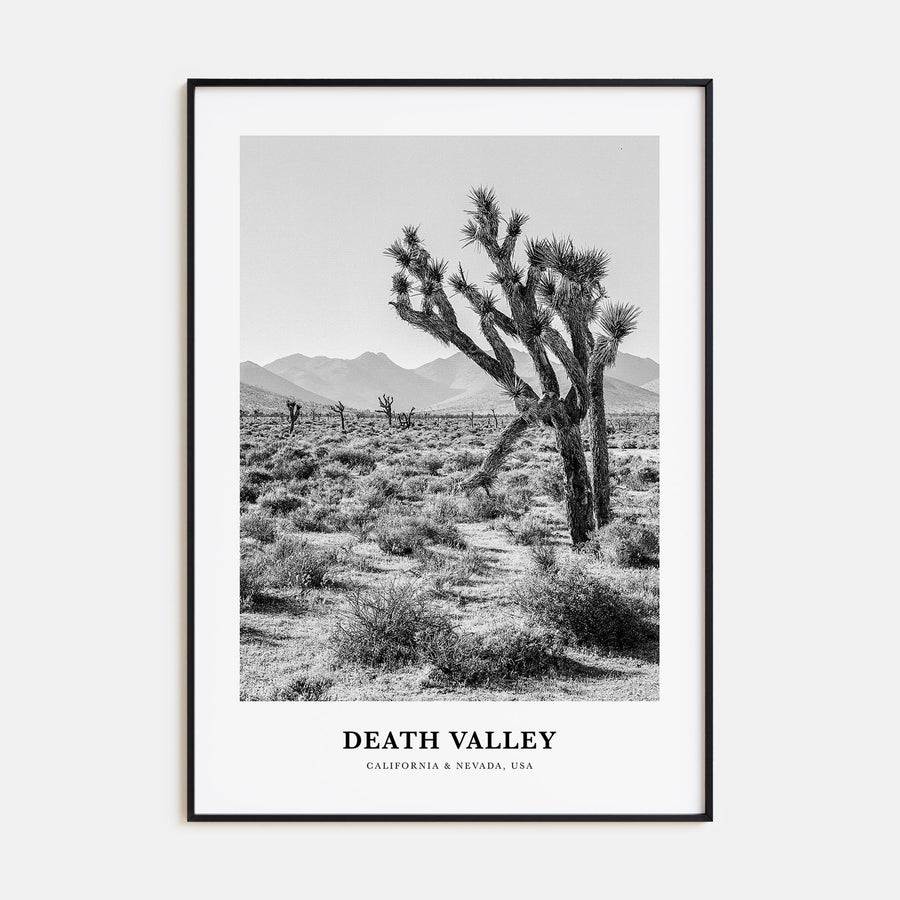 Death Valley Portrait B&W No 1 Poster