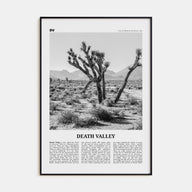 Death Valley Travel B&W No 1 Poster