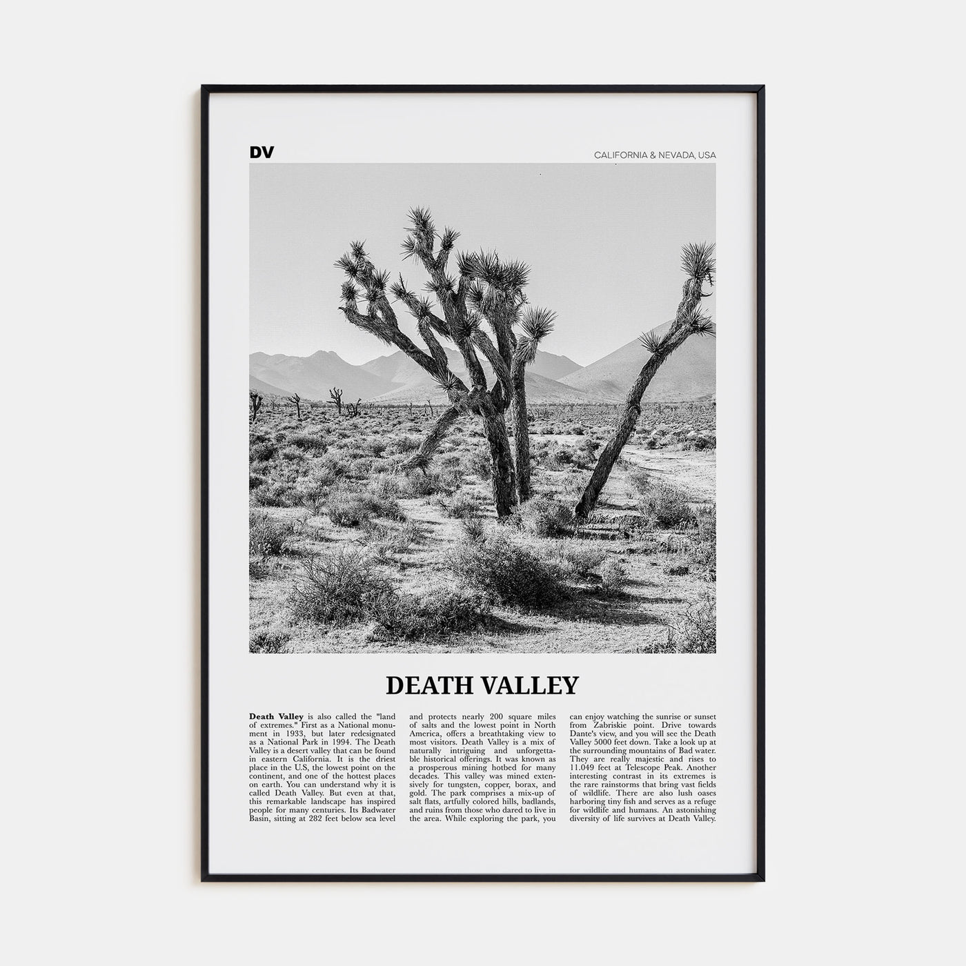 Death Valley Travel B&W No 1 Poster