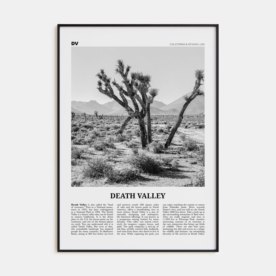 Death Valley Travel B&W No 1 Poster