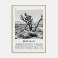 Death Valley Travel B&W No 1 Poster