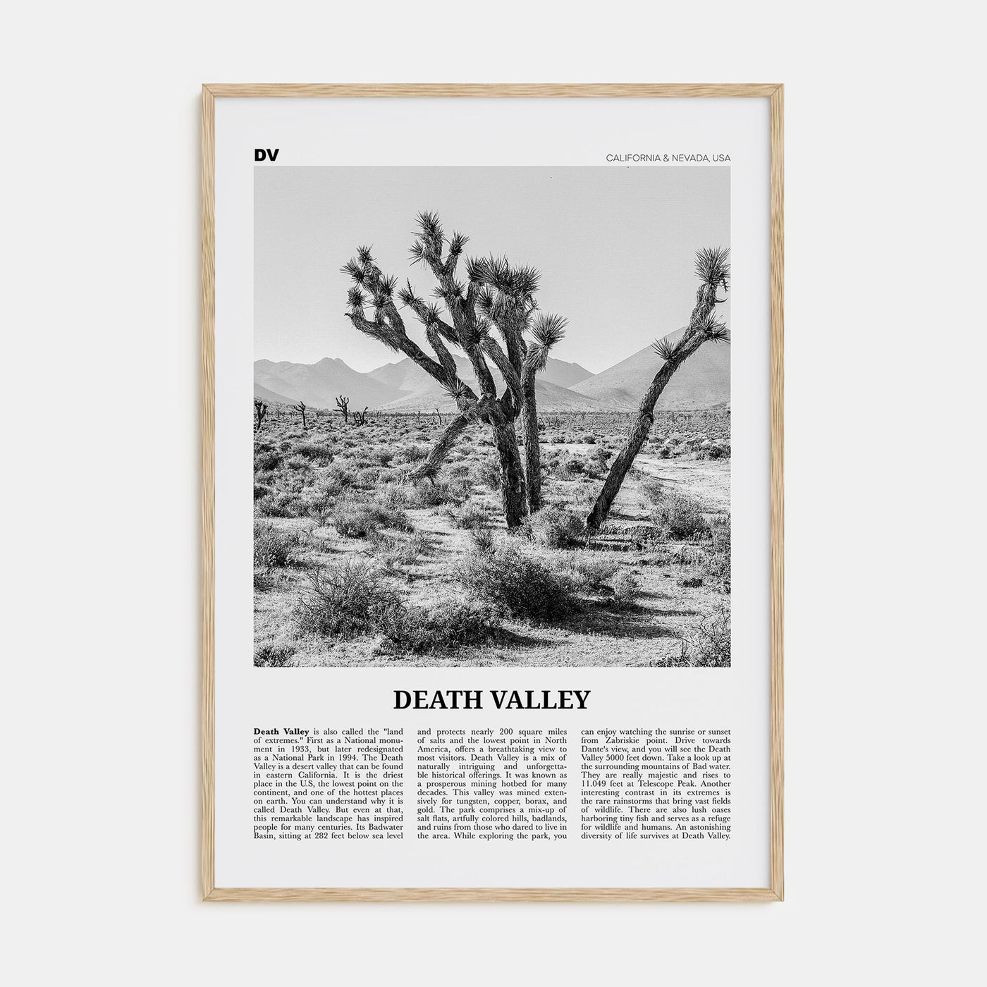 Death Valley Travel B&W No 1 Poster