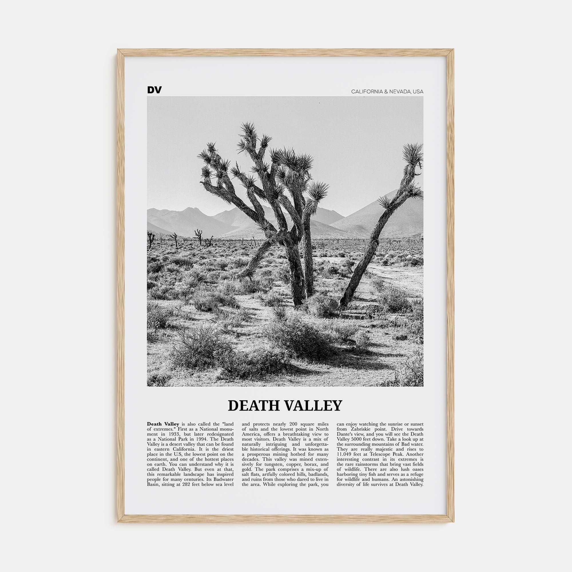 Death Valley Travel B&W No 1 Poster