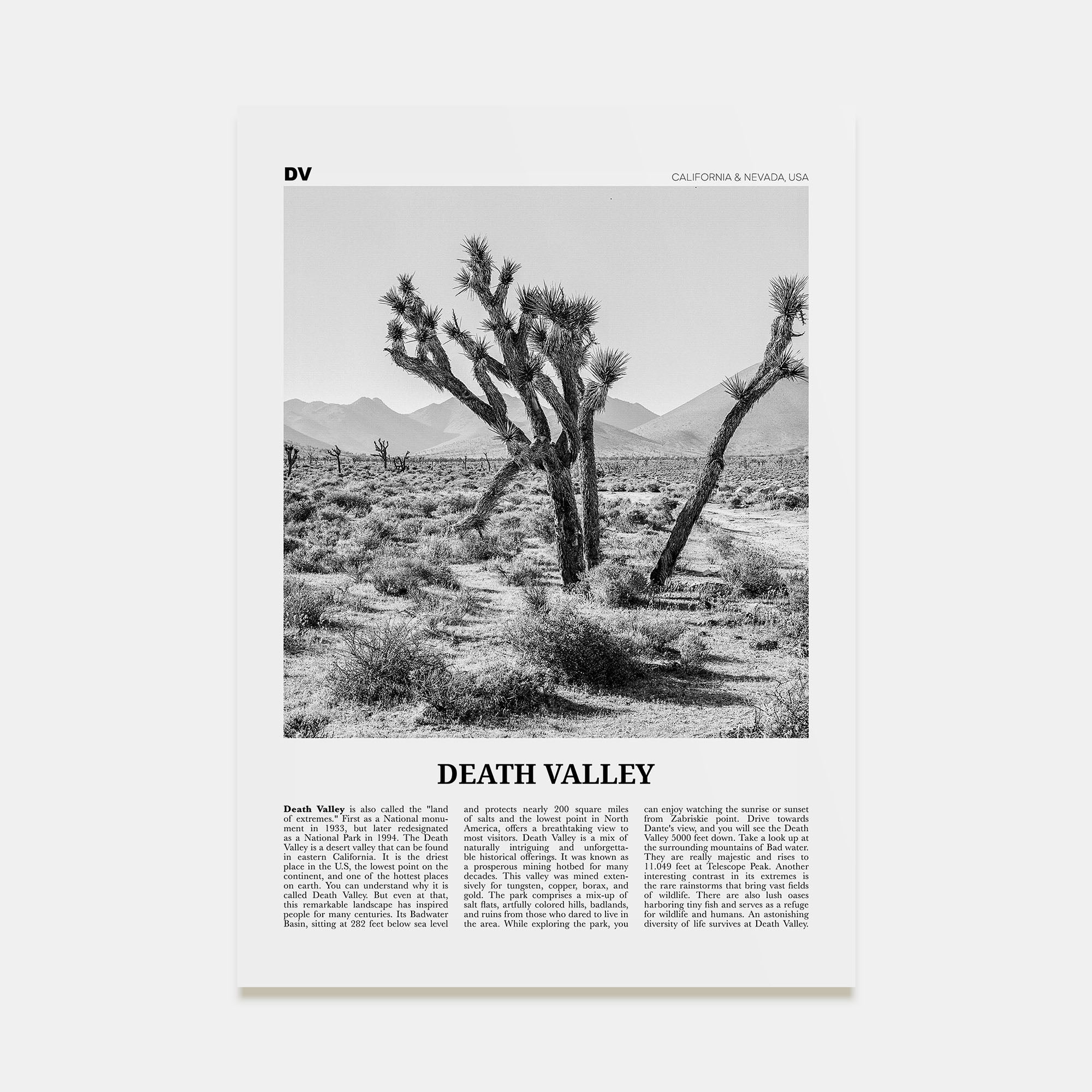 Death Valley Travel B&W No 1 Poster