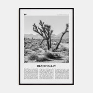Death Valley Travel B&W No 1 Poster