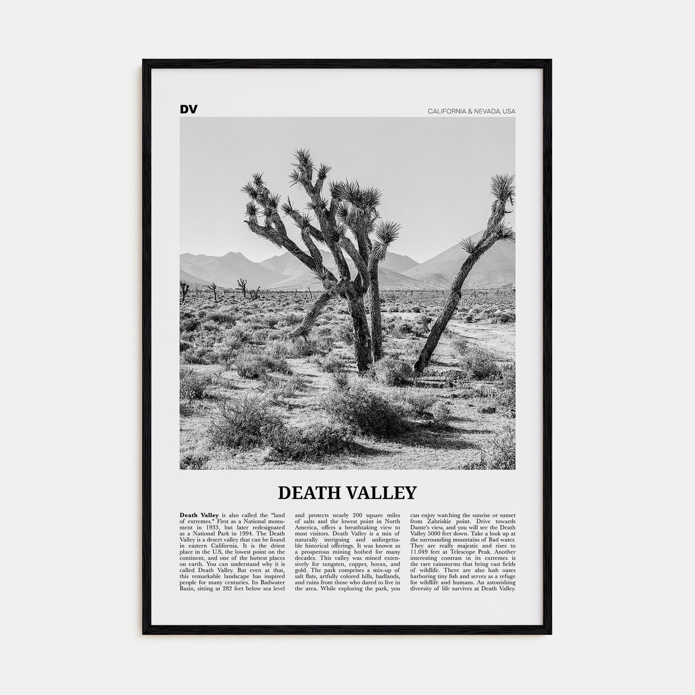 Death Valley Travel B&W No 1 Poster