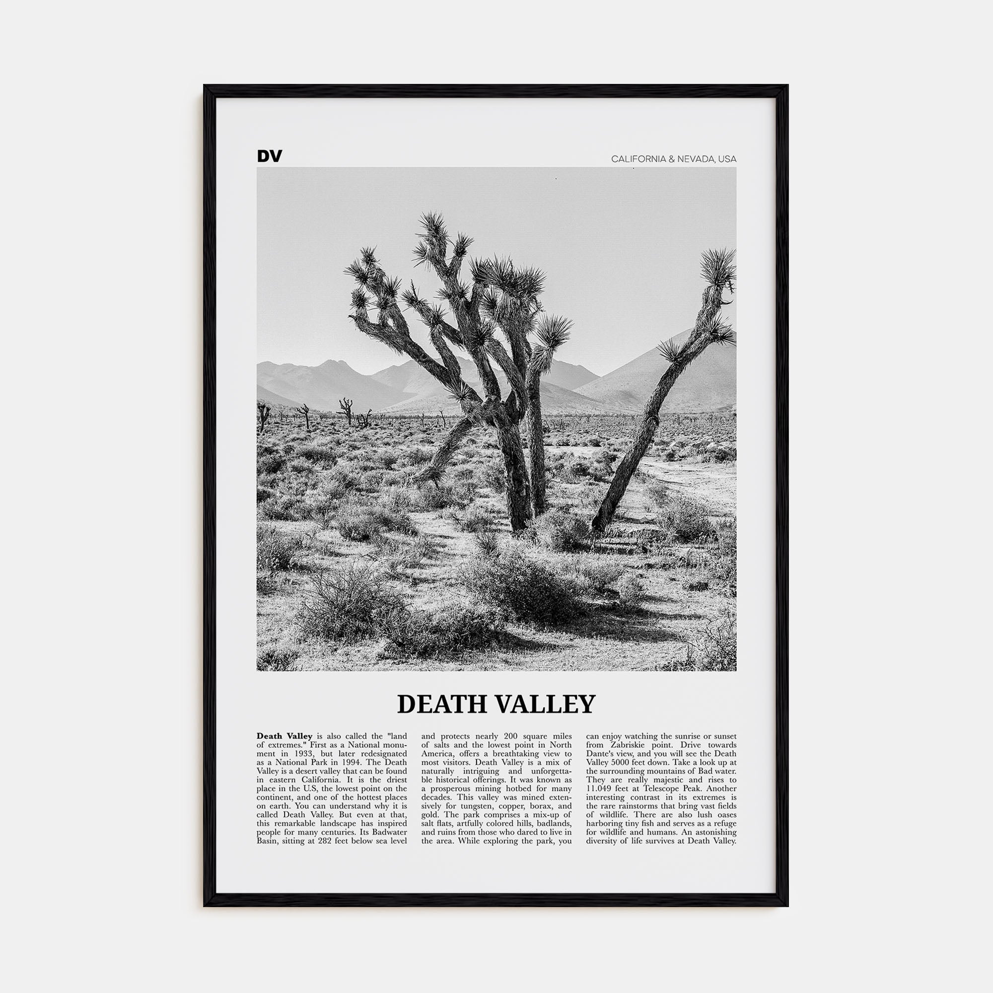 Death Valley Travel B&W No 1 Poster