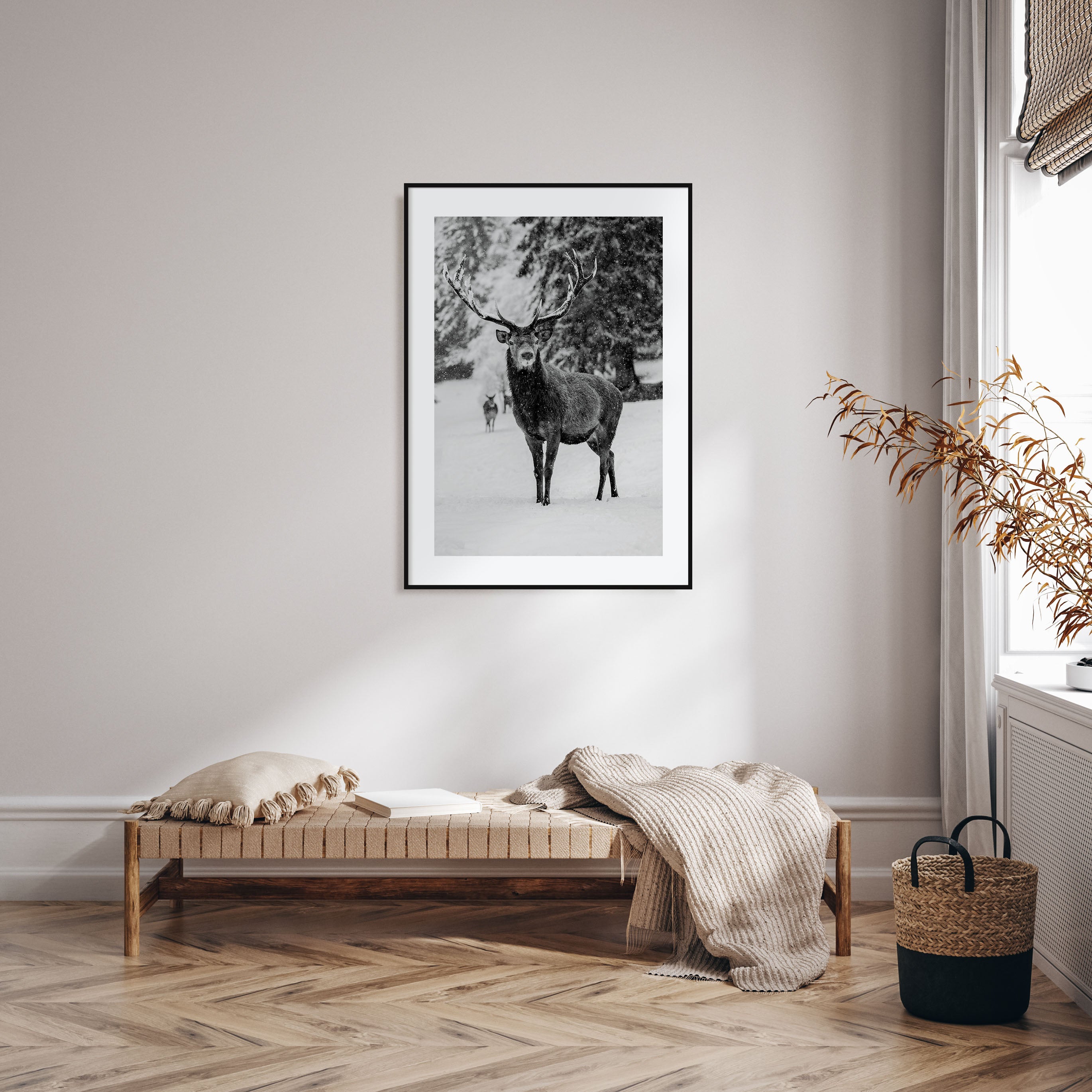 Deer Photo B&W Poster