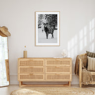 Deer Photo B&W Poster