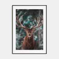 Deer Photo Color No 2 Poster