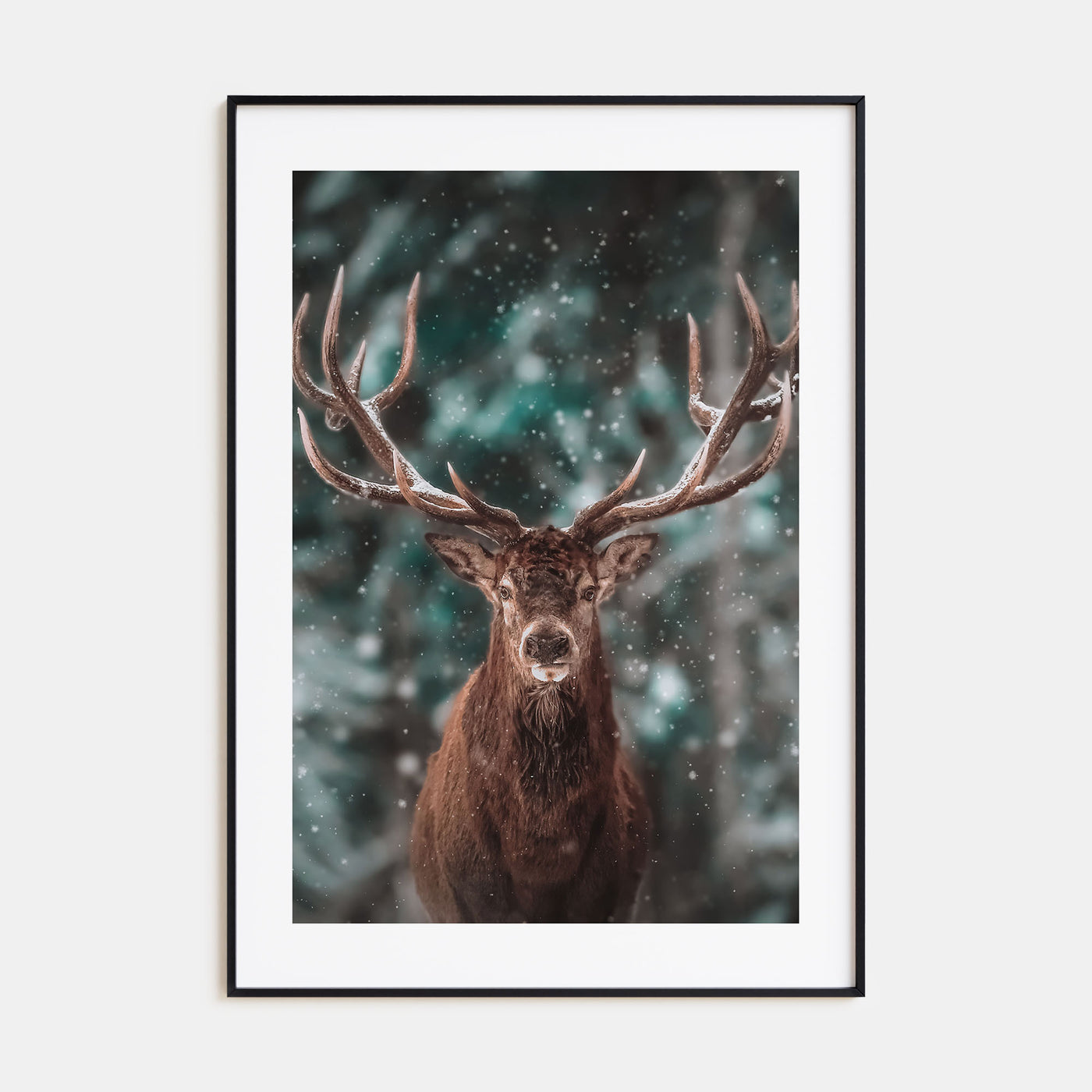 Deer Photo Color No 2 Poster
