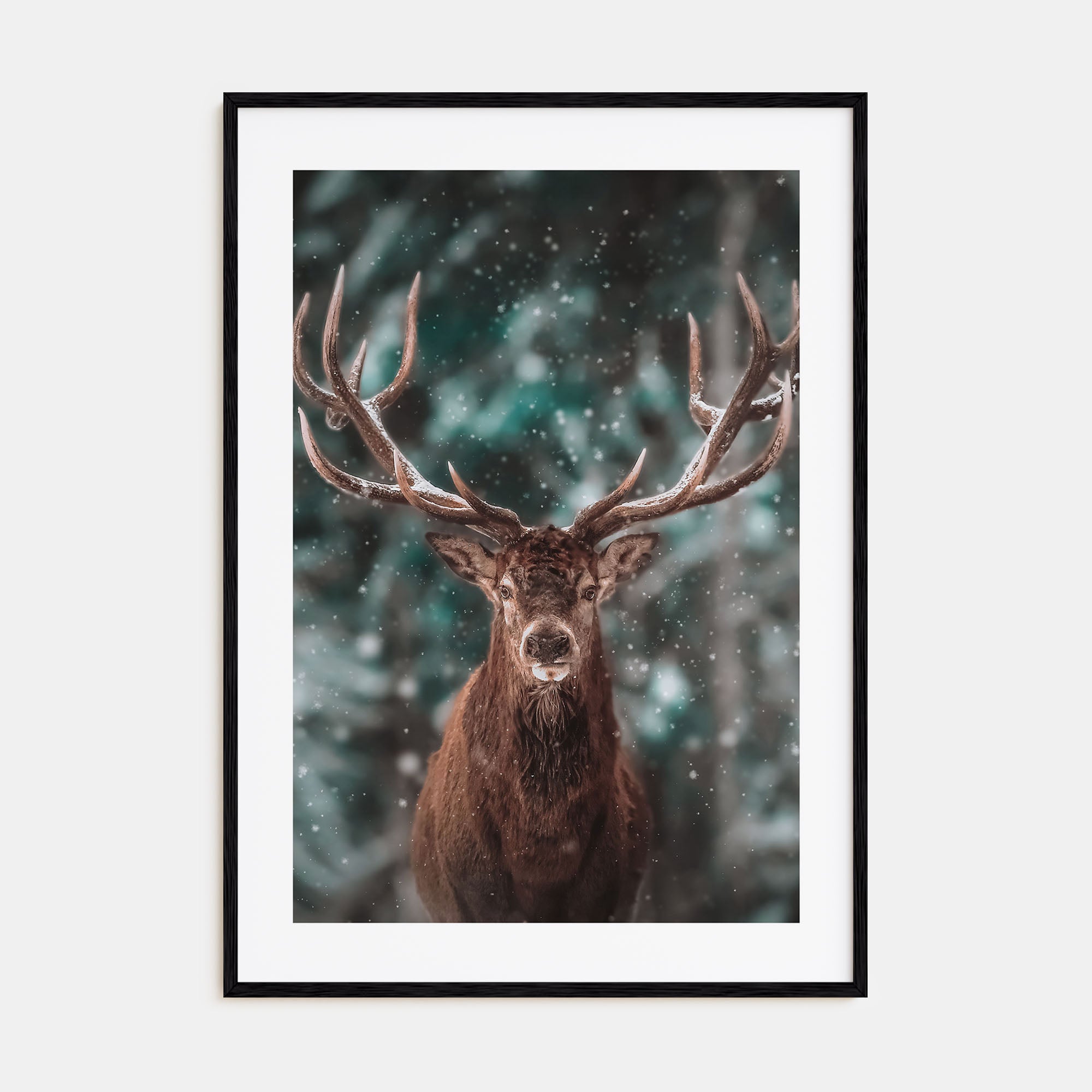 Deer Photo Color No 2 Poster