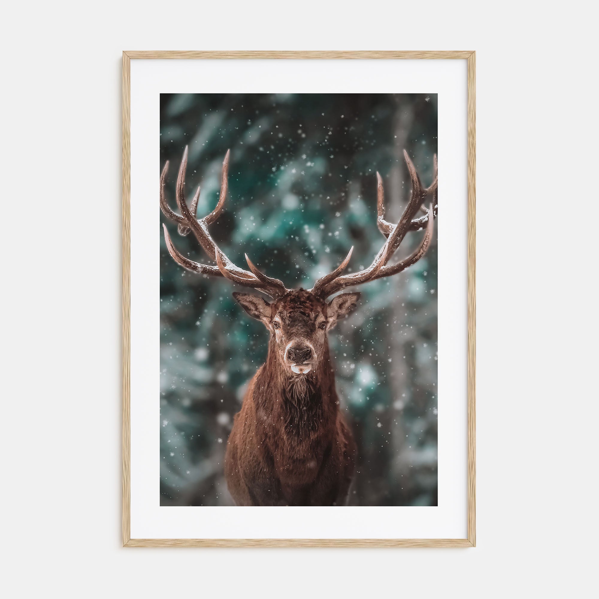 Deer Photo Color No 2 Poster
