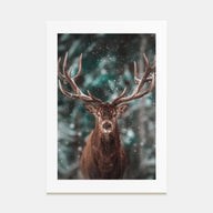 Deer Photo Color No 2 Poster