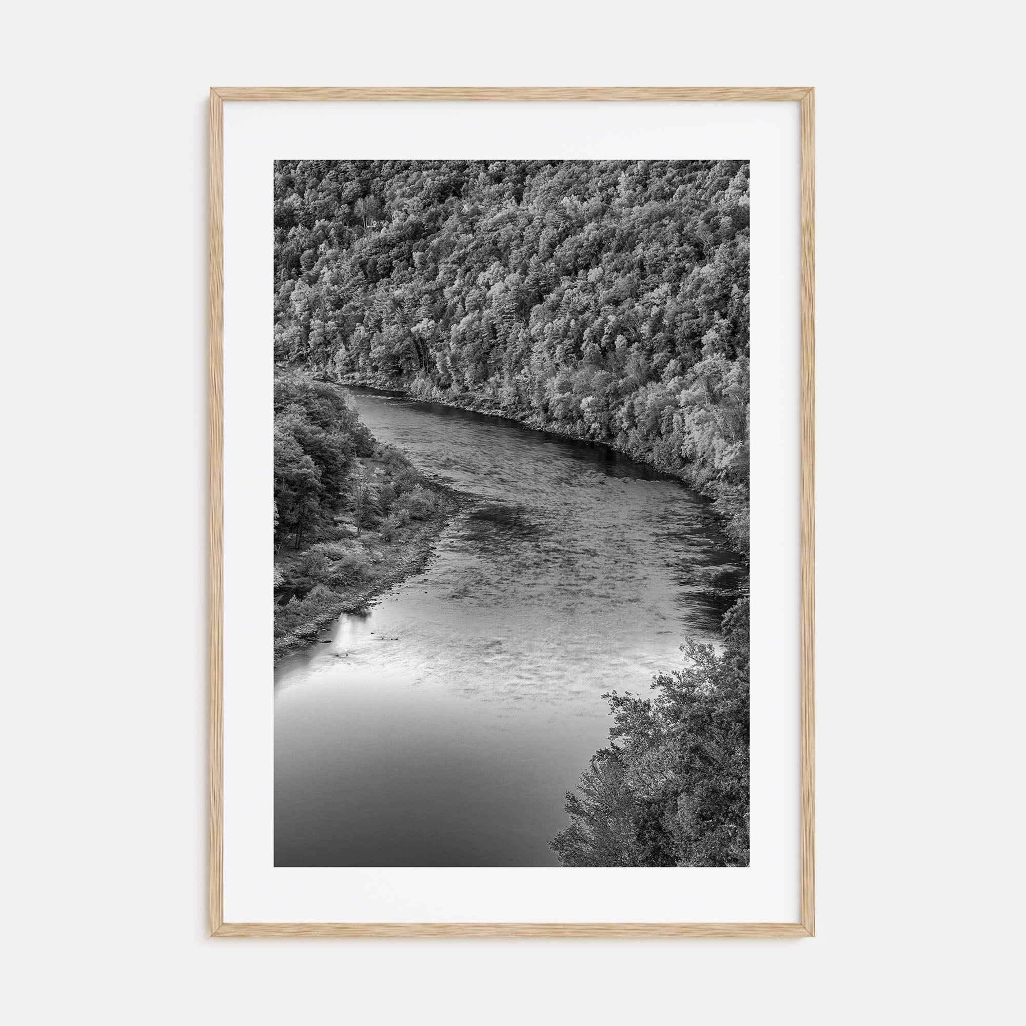 Delaware Photo B&W Poster