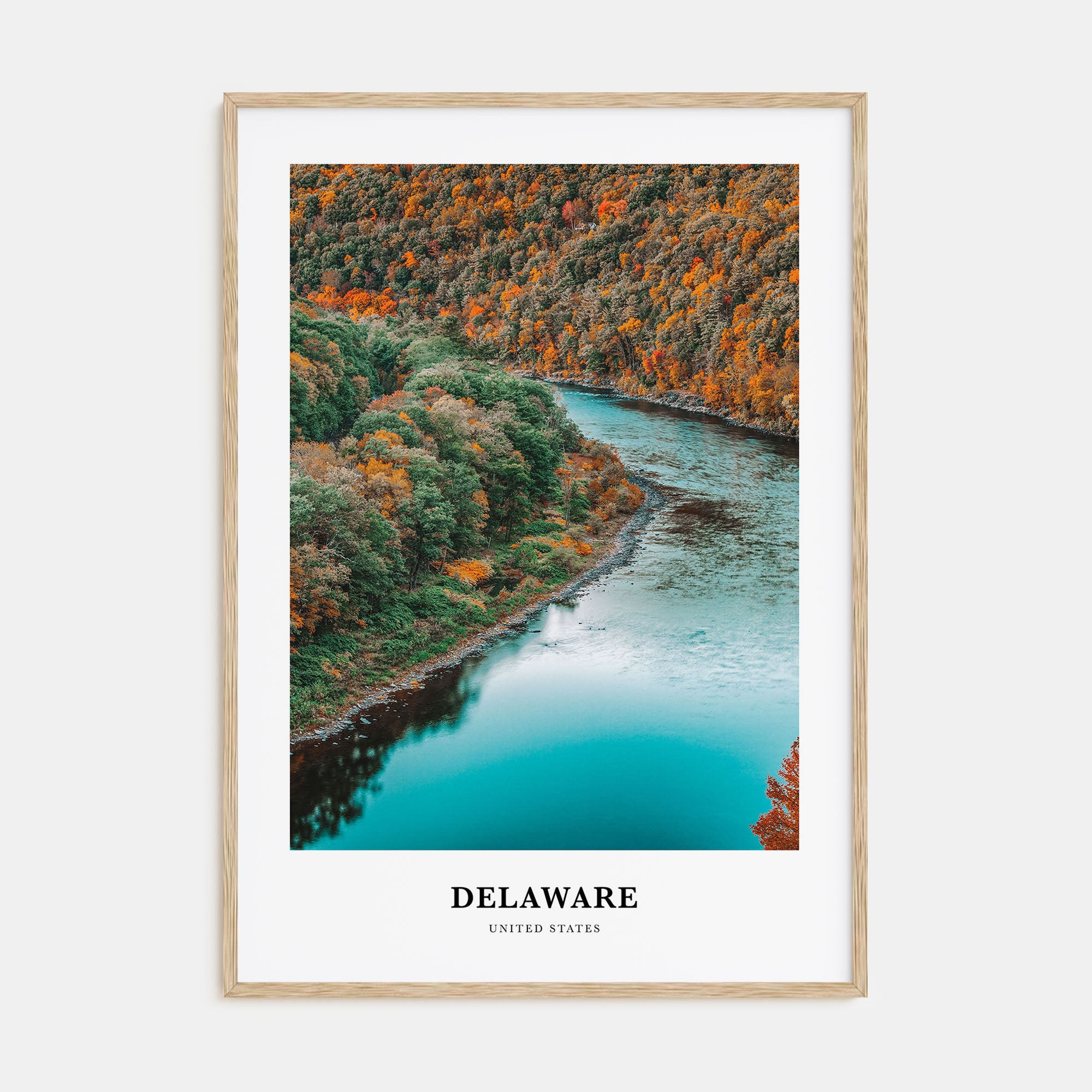 Delaware Portrait Color No 1 Poster