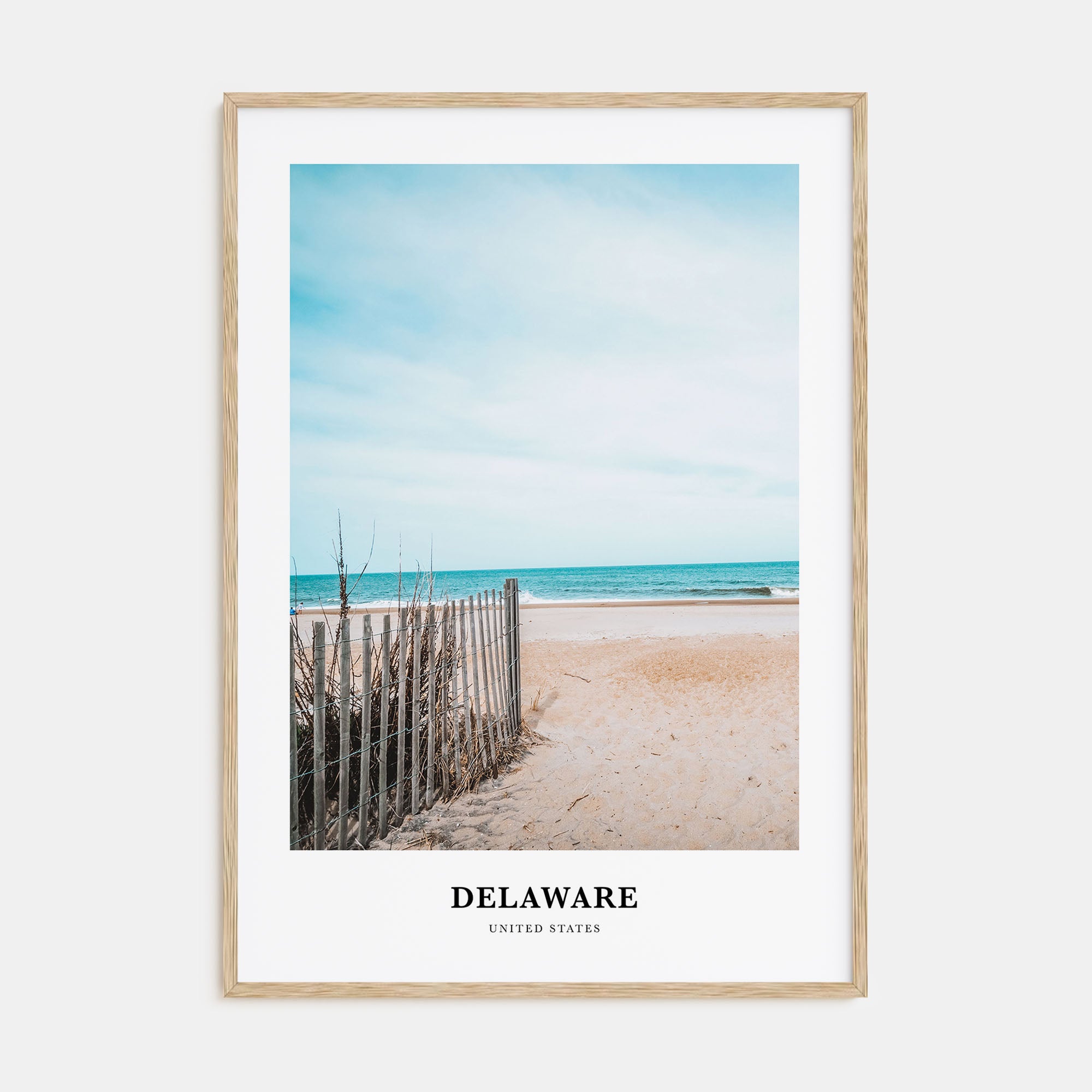 Delaware Portrait Color No 2 Poster