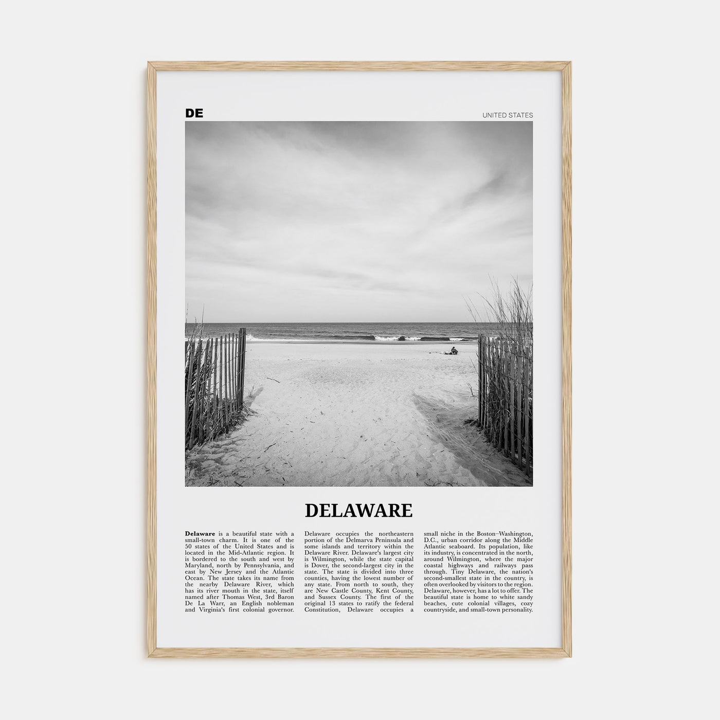 Delaware Travel B&W No 1 Poster