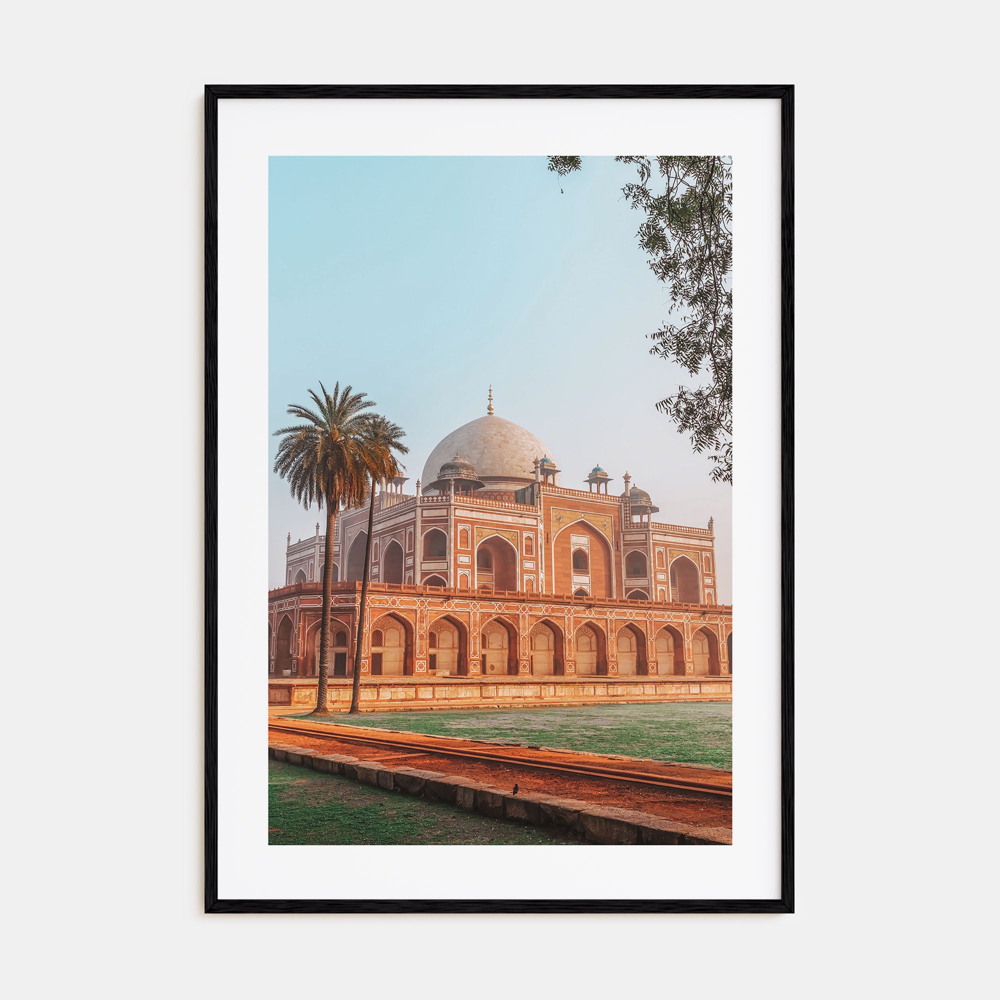 Delhi Photo Color Poster