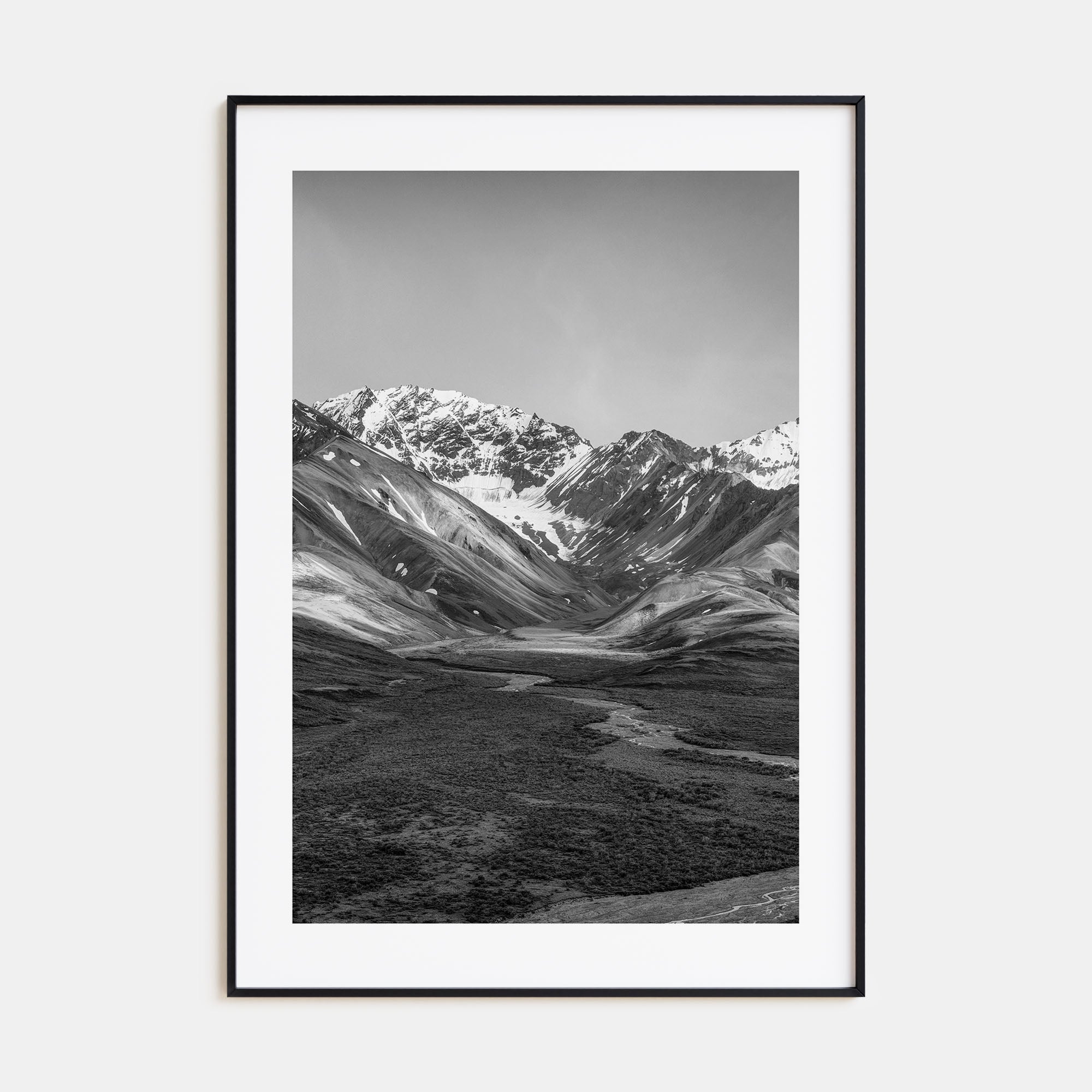 Denali Photo B&W Poster