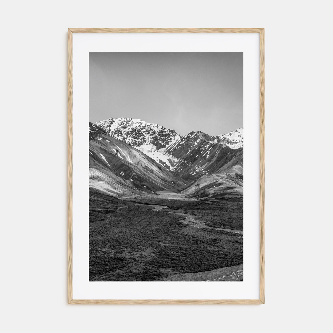 Denali Photo B&W Poster