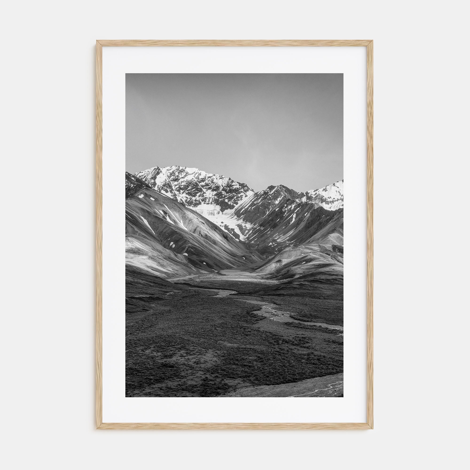 Denali Photo B&W Poster