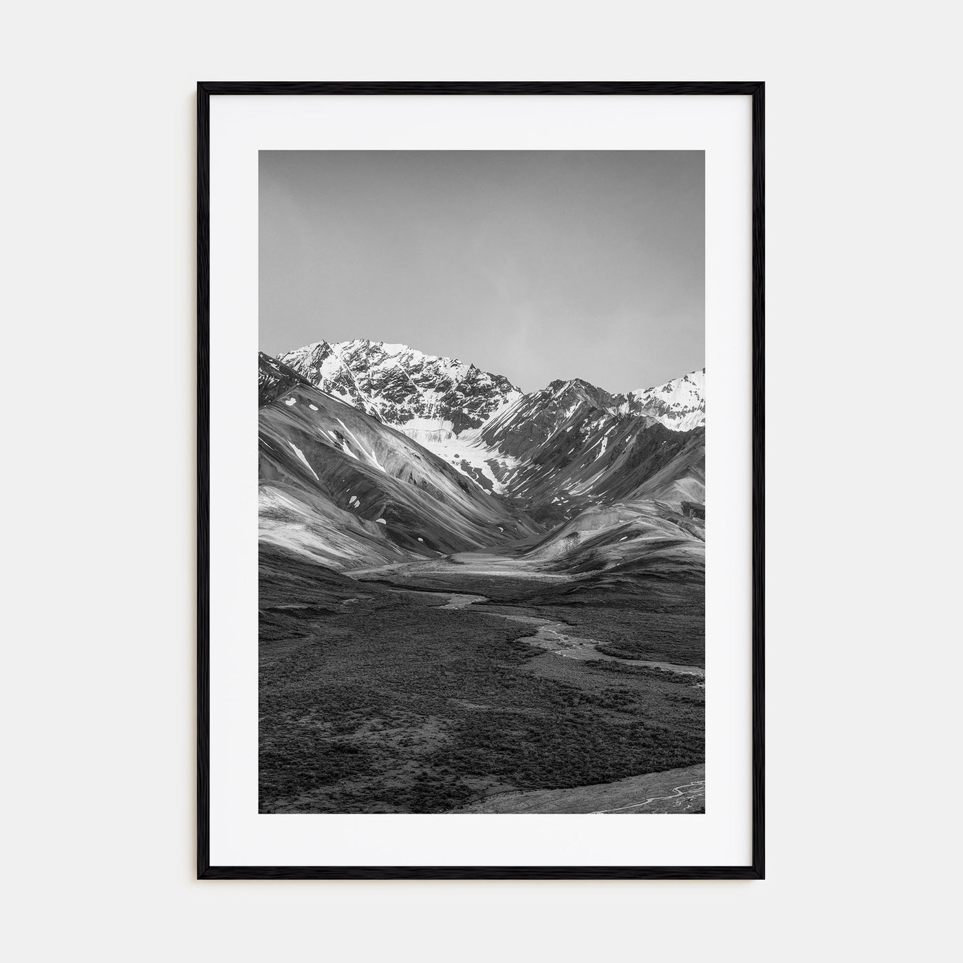 Denali Photo B&W Poster