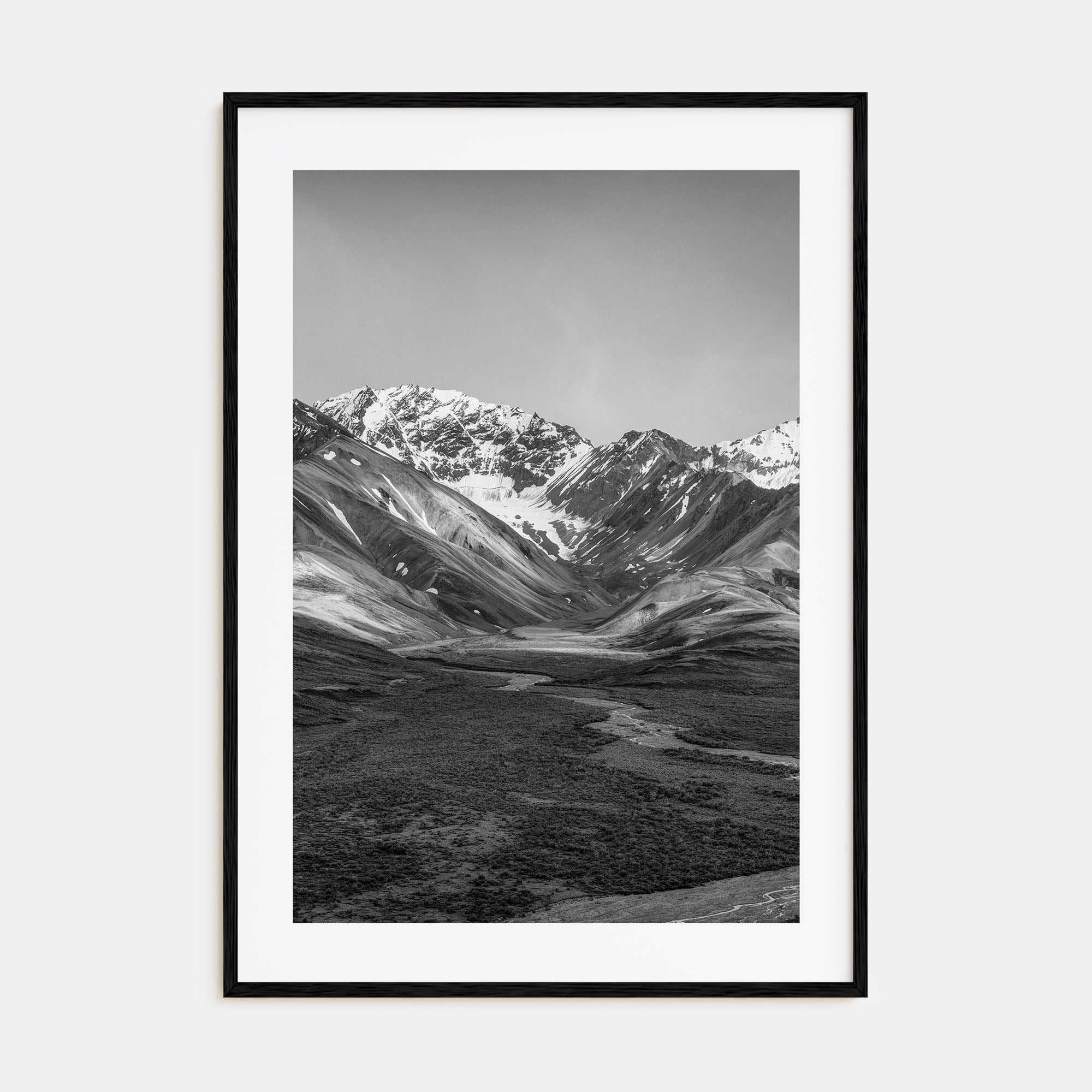 Denali Photo B&W Poster