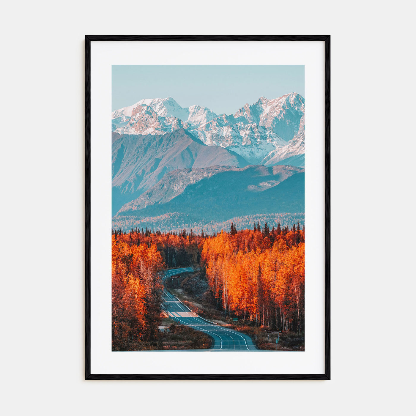 Denali Photo Color Poster