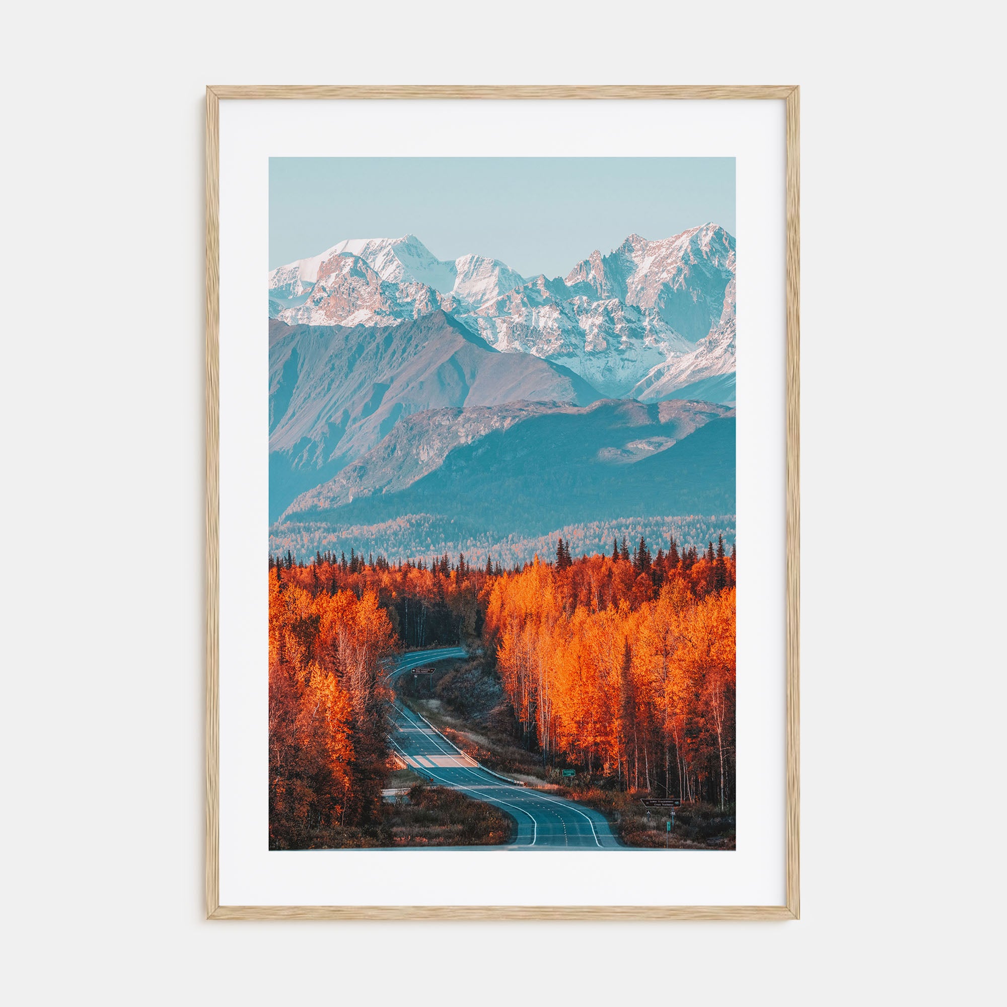 Denali Photo Color Poster