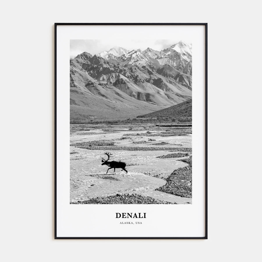 Denali Portrait B&W Poster