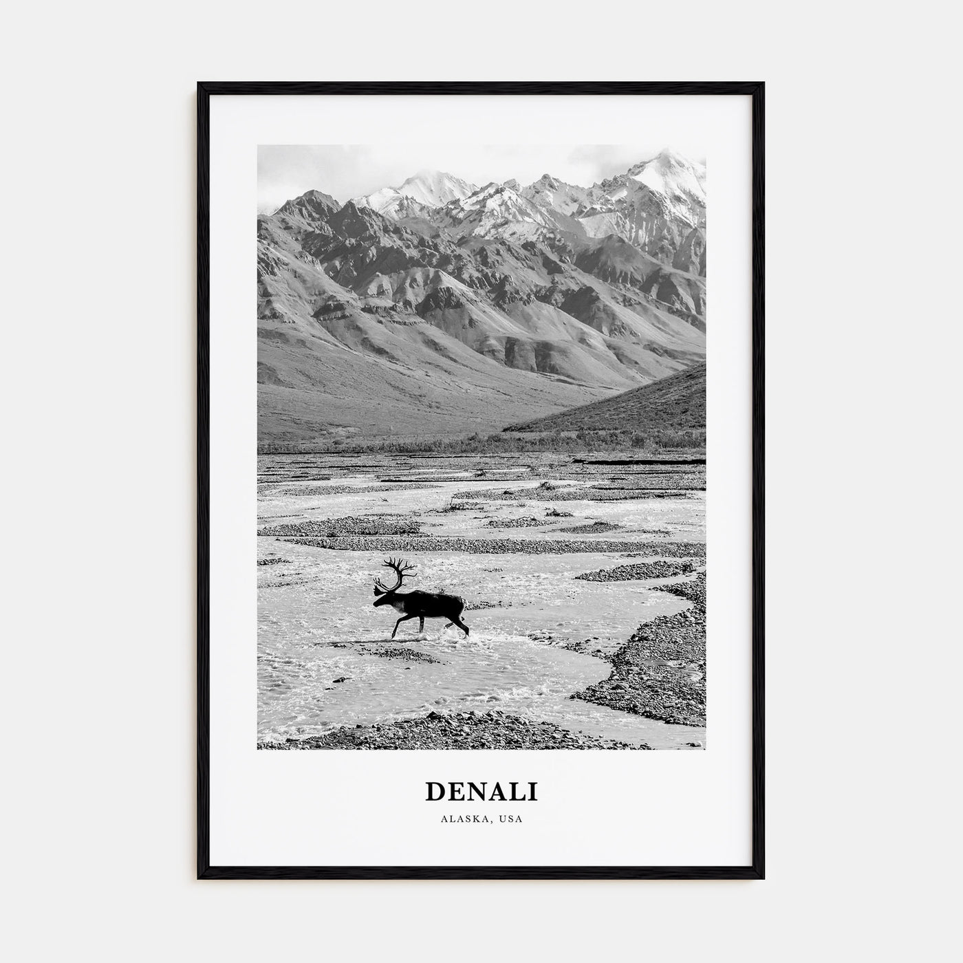 Denali Portrait B&W Poster